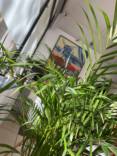 Public Area 3, Hotel Vieille Tour, Seine-Maritime