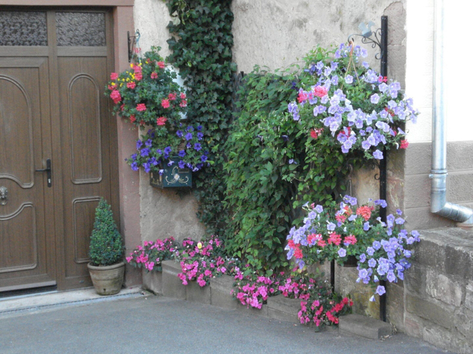 Exterior 3, Gite With Views of the Vosges Mountains, Moselle