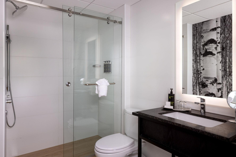 Bathroom 5, Peaks Hotel & Suites, Division No. 15