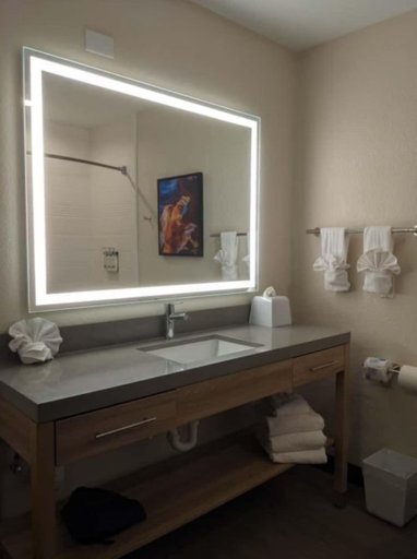 Bathroom 4, Candlewood Suites San Antonio Fort Sam Hou by IHG, Bexar