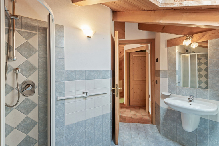 Bathroom 3, Accommodation With Wellness Center, in Val di Sole, Trento