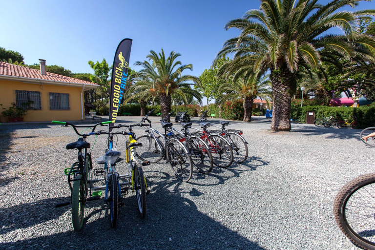 Bicycling