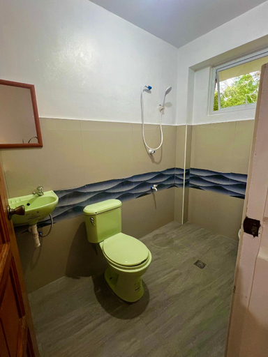 Bathroom 5, Treasure Beach, Carles