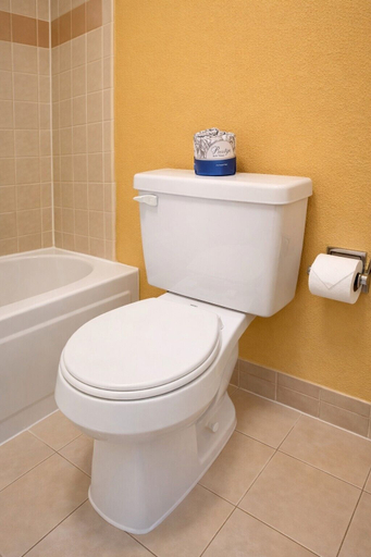 Bathroom 4, Rodeway Inn Killeen near Fort Hood, Bell