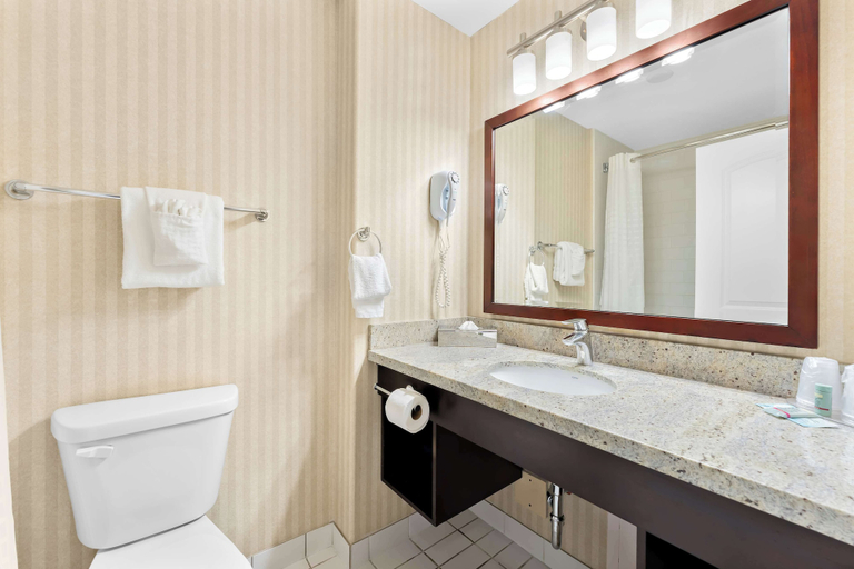 Bathroom 4, Best Western Williams Lake Hotel, Cariboo