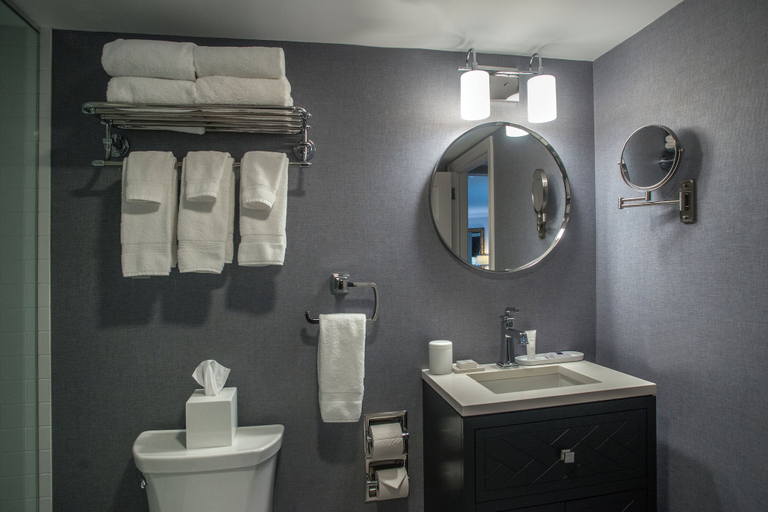 Bathroom 5, The Spa at Norwich Inn, New London