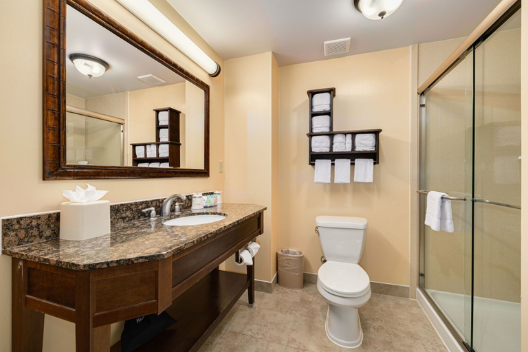 Bathroom 4, Pier House 60 Clearwater Beach Marina Hotel, Pinellas