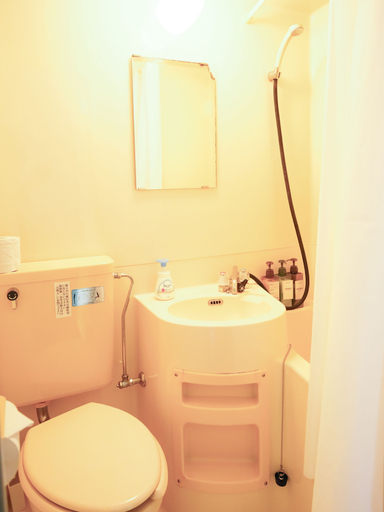Bathroom 3, Osaka English House, Hirakata