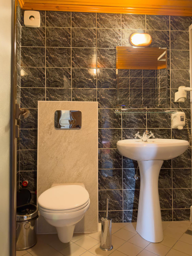 Bathroom, Family Hotel EDI, Stolichna