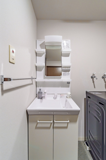 Bathroom 2, E-US NAEBO 203, Sapporo