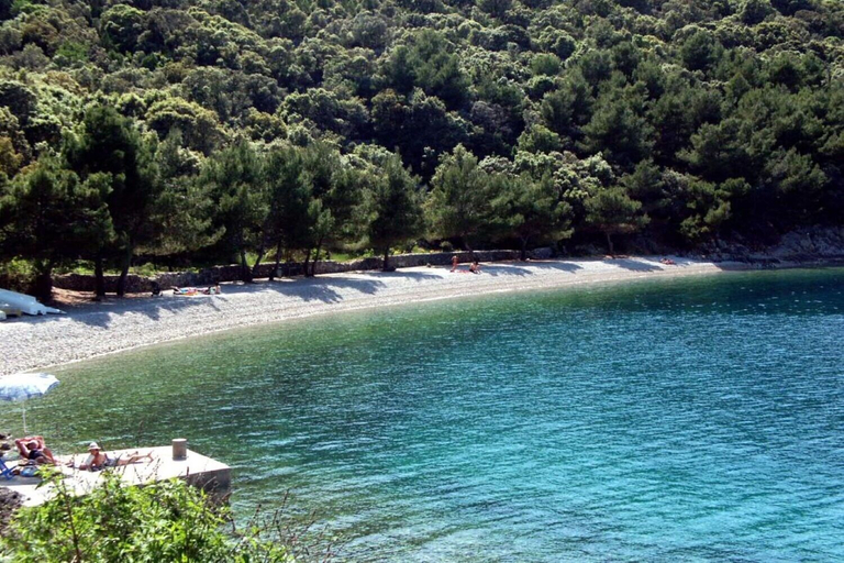 Others 5, Apartment Griv, Cres