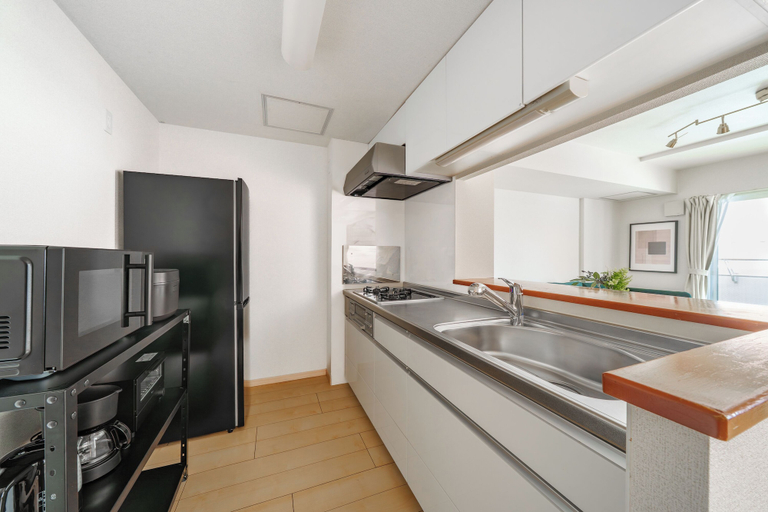 Private kitchen 4, E-US NAEBO STATION 103, Sapporo