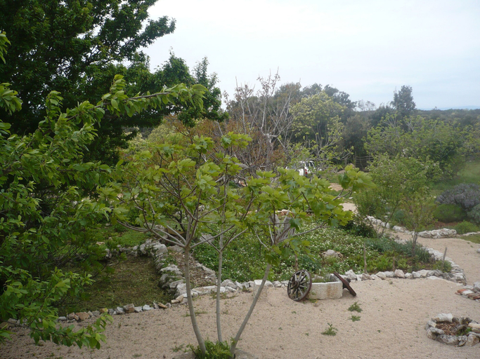 Courtyard 2, House Dragica, Cres