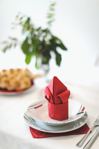 Food & Drinks, House City Center With Garden, Šibenik