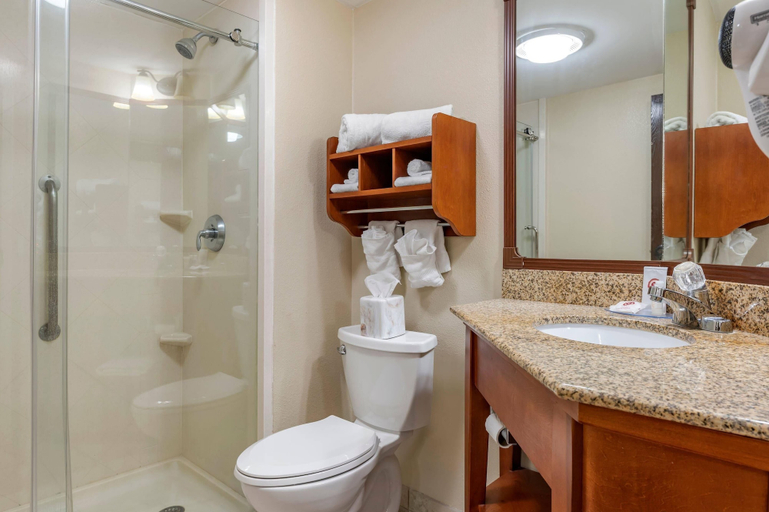 Bathroom 4, Comfort Inn Oxford - University Area, Butler