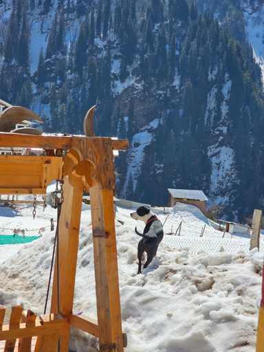 Others 4, Vedas Homestay | Waichin Valley, Kullu