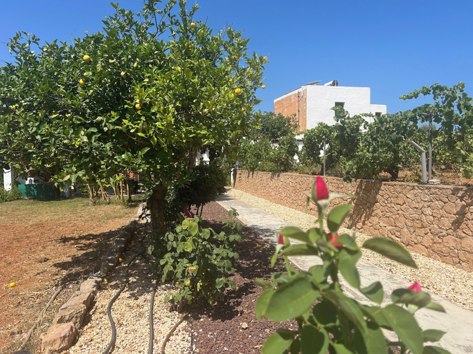 Exterior 2, Finca Can Pepis, Baleares
