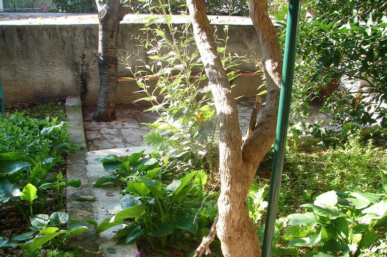 Others 4, Apartments Sini, Makarska