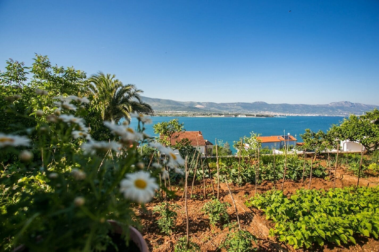 Others 4, Apartment Marija, Trogir
