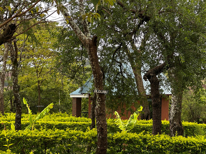 Garden 4, Green Forest Lodges, Karatu
