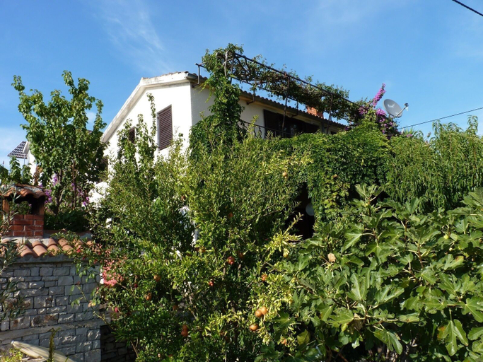 Exterior & Views, Apartment Zeljko, Šolta
