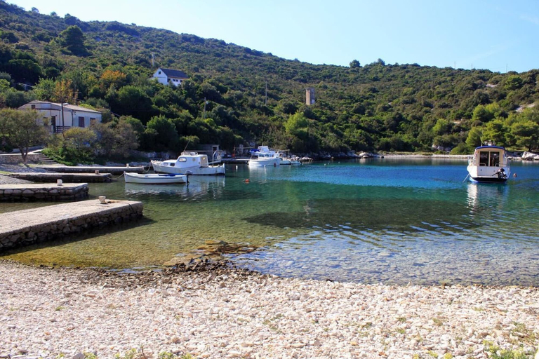 Others 5, Apartments Roki, Vis