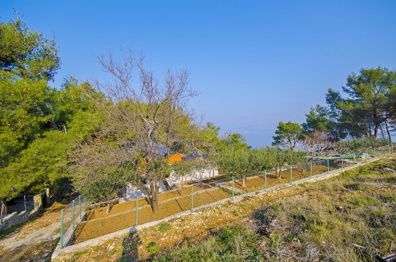 Building design 2, House Fisherman, Postira
