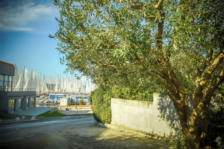 Miscellaneous, Apartments Jasmine, Biograd na Moru