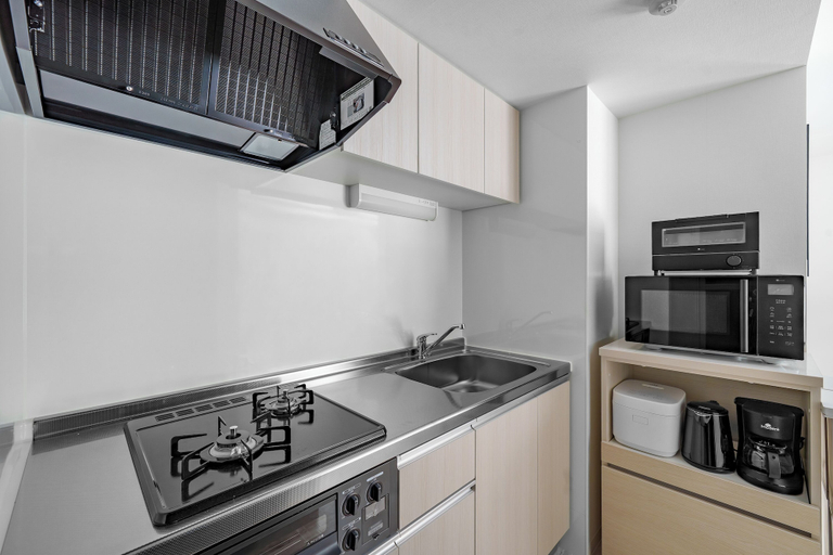 Private kitchen 4, VOLPE 103, Sapporo