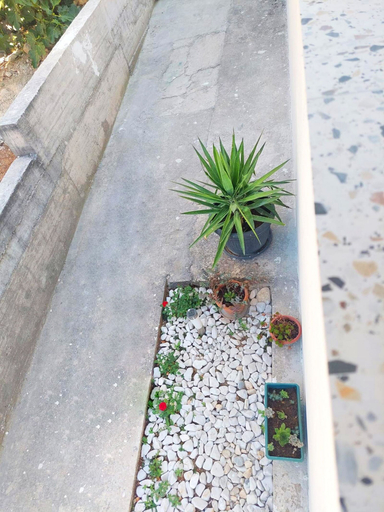 Courtyard 3, House Spark, Rogoznica