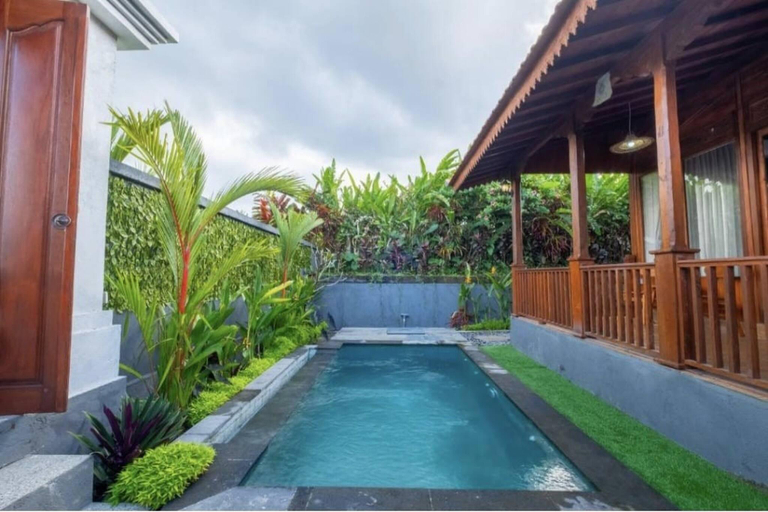 Swimming pool 4, One Bedroom Villa with swimming pool, Gianyar