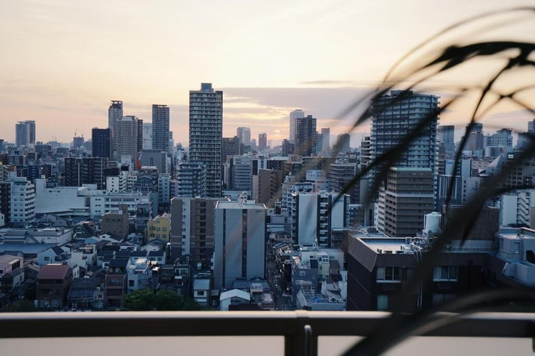 Property grounds, Central Mansions, Osaka