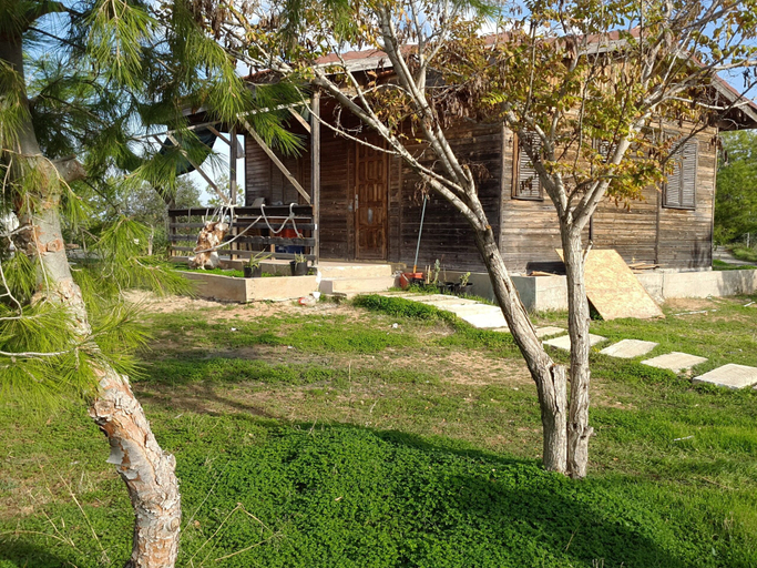 Property grounds, Club Cyprus Pearl