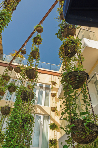 Exterior & Views 2, Nacar Hotel Cartagena, Curio Collection by Hilton, Cartagena de Indias