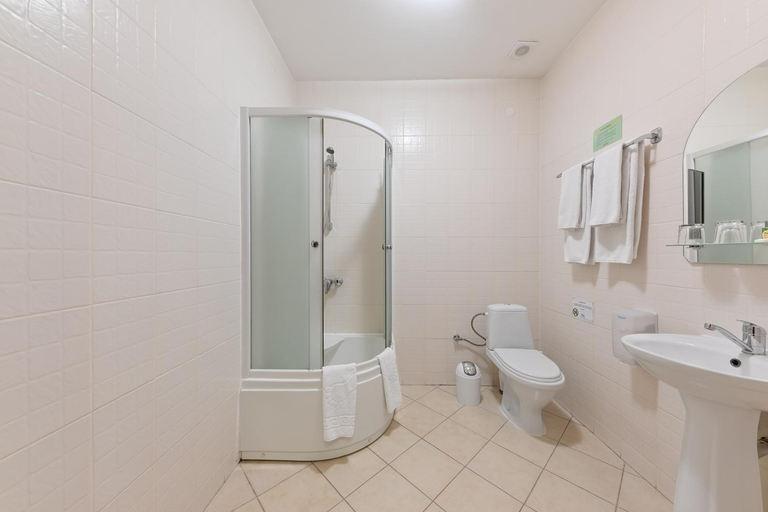 Bathroom 3, Bogolvar Eco Resort & Spa, Uzhhorods'kyi