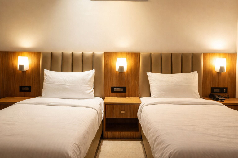 Room 2, Hotel RS, Agra