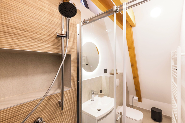 Bathroom 4, House Medvjed, Ravna Gora