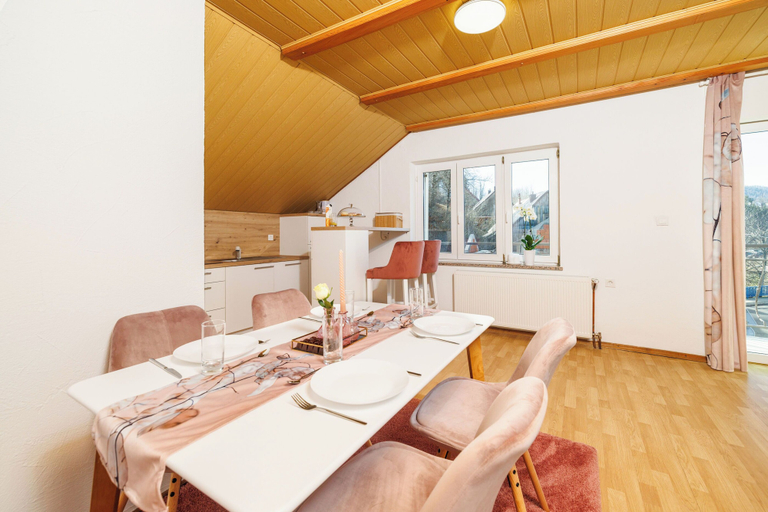Private kitchen 5, Apartments Sofija, Fužine