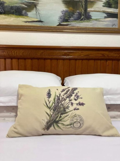 Room 5, Cantinho Ítalo-Germânico Hospedagem, Marechal Floriano