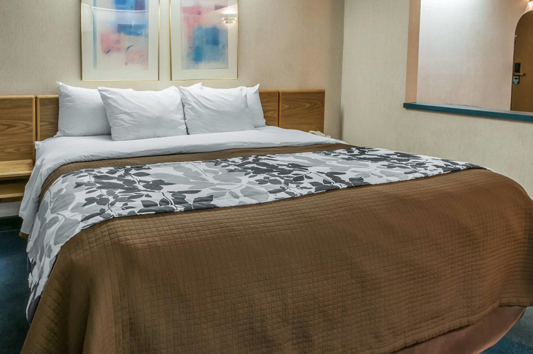 Bedroom 3, Sleep Inn University, Dona Ana