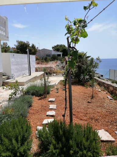 Courtyard 3, House Dragi, Vodice