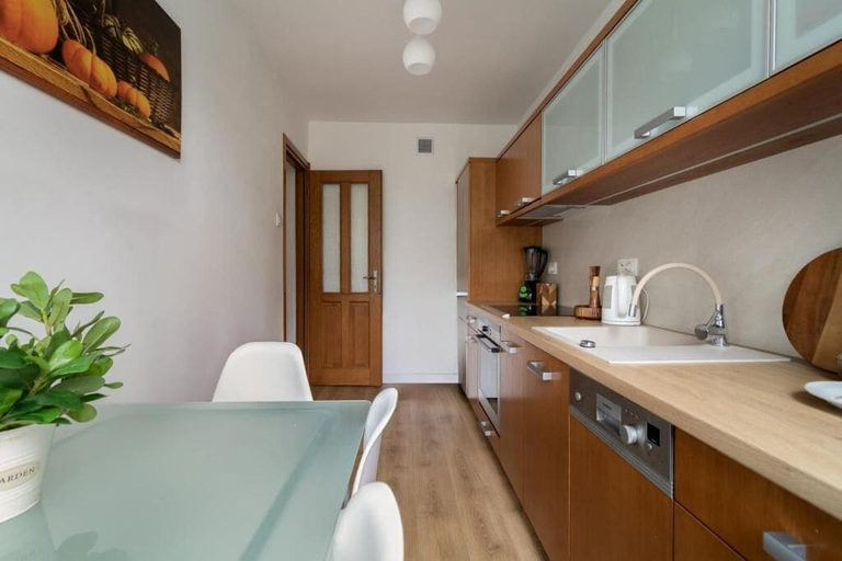 Private kitchen 4, Malila Premium Apartments Brodowicza 5, Kraków City