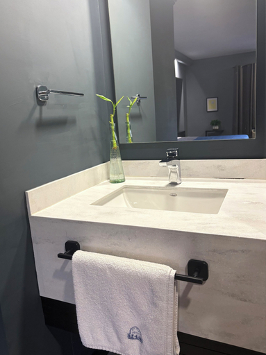 Bathroom 4, Hotel Le-Gar, Monterrey