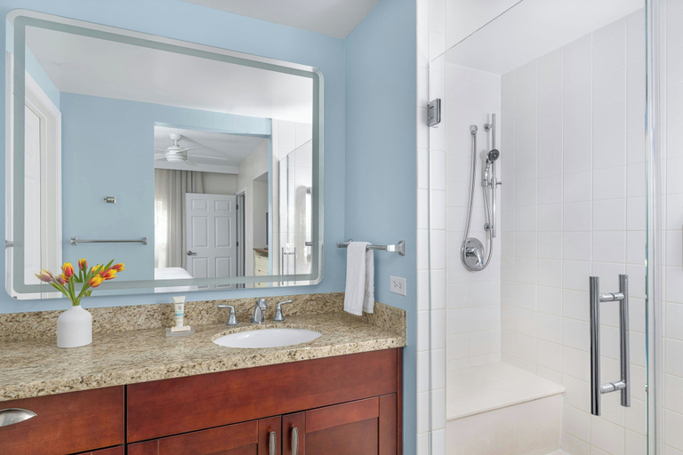 Bathroom 5, Marriott's Harbour Lake, Orange