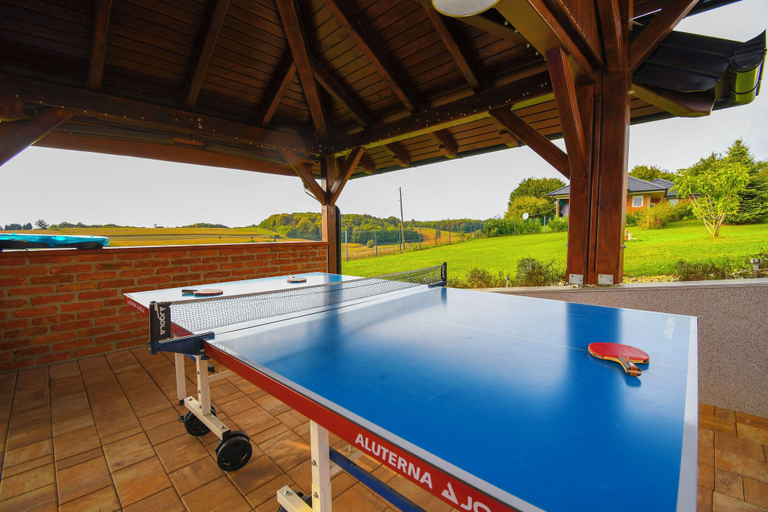 Terrace/patio 3, Villa Lavanda, Križevci