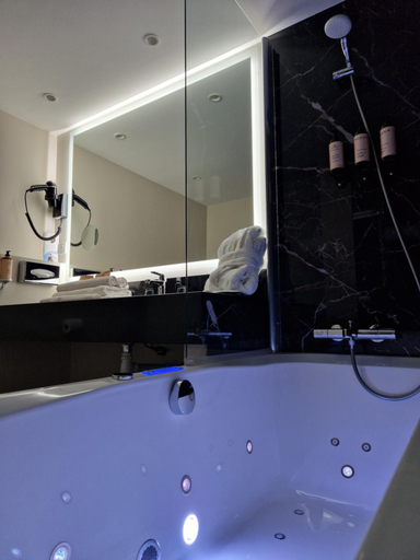 Bathroom 5, Mercure Orleans Centre Bords De Loire, Loiret