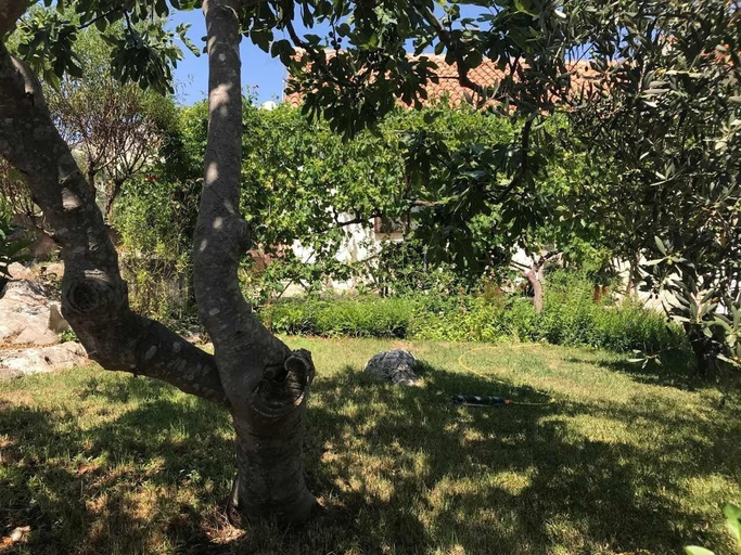 Property grounds 5, Apartments Ruzica, Preko