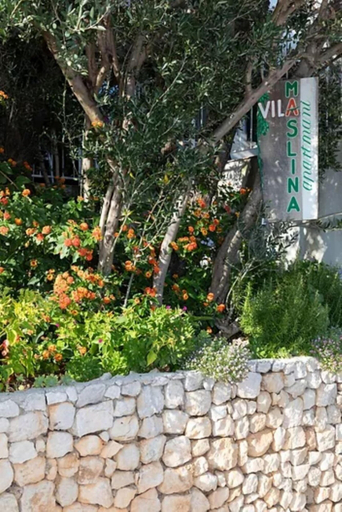 Garden, Apartment Blue, Podgora