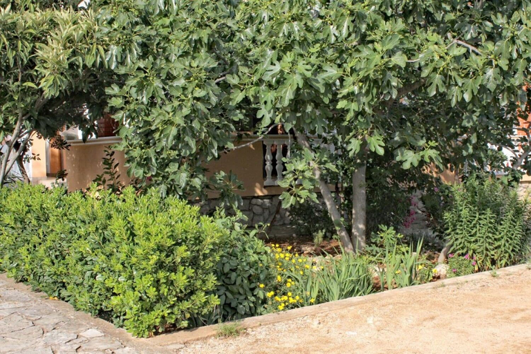 Others 4, Apartments Slavica, Tisno
