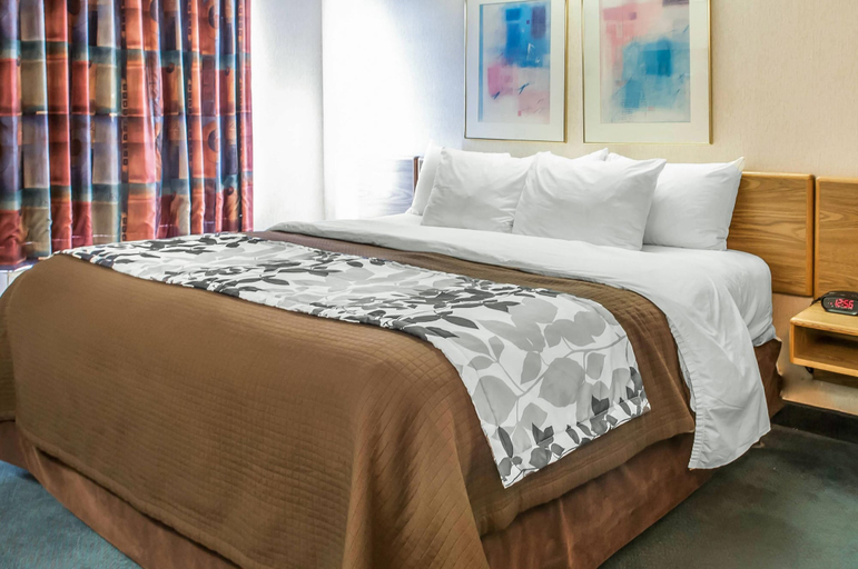 Bedroom 3, Sleep Inn University, Dona Ana